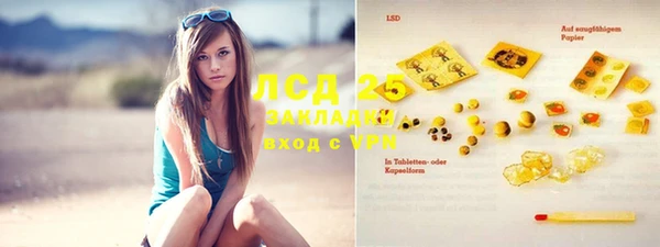 стафф Алзамай