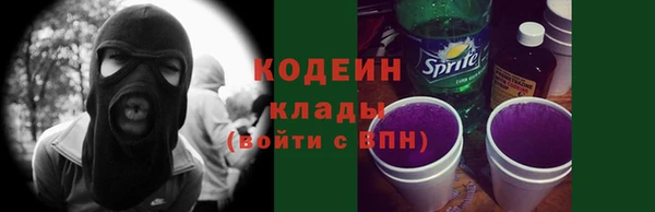 2c-b Новозыбков