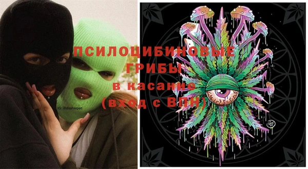 стафф Алзамай