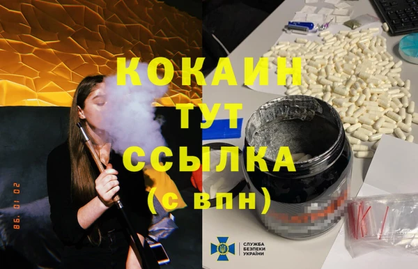 стаф Алексин