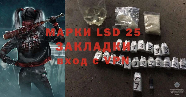 стафф Алзамай