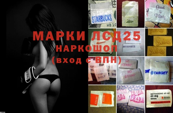 стаф Алексин