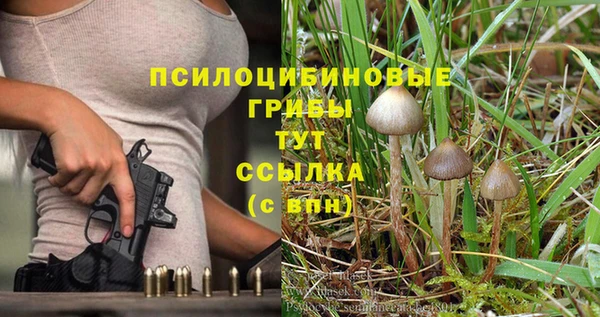 гидропоника Алексеевка