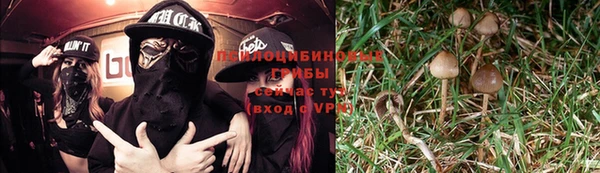 стафф Алзамай