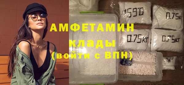 стаф Алексин
