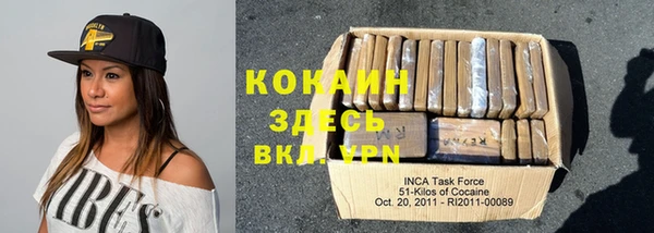 стаф Алексин