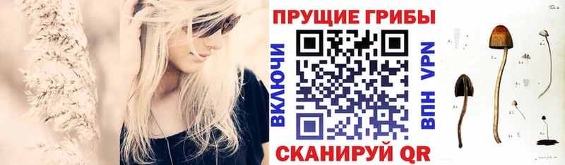 Псилоцибиновые грибы MAGIC MUSHROOMS  как найти закладки  Любань 
